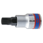 Douille tournevis XZN 1/2" (12.70mm)  M5 Longueur 60mm - 402605 Douille tournevis XZN 1/2" (12.70mm)  M5 Longueur 60mm - 402605