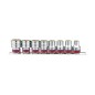 Coffret de douilles pouces 1/2" sur rail - 8 pièces Coffret de douilles pouces 1/2" sur rail - 8 pièces