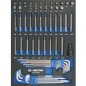 Plateau EVAWAVE de clés mâles 6 pans. TORX et embouts - 61 pièces Plateau EVAWAVE de clés mâles 6 pans. TORX et embouts - 61 pièces