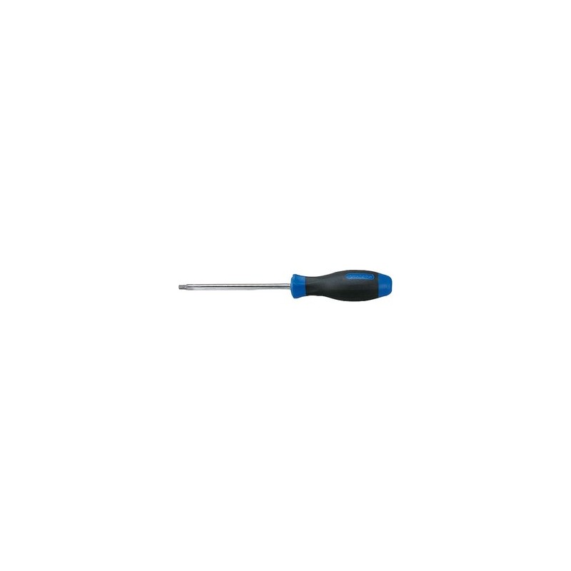 KING TONY  : Tournevis Torx inox T10 75x3.2 - 14231003K