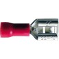 Cosses plates femelles 6.3mm rouge (boite de 20)