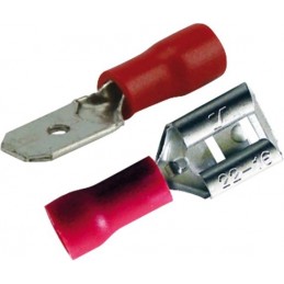 Cosses plates assorties rouge (boite de 22)