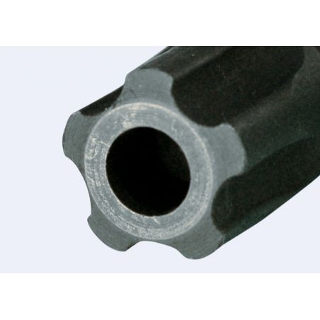 Douille tournevis resistorx plus IPR25 - 302D25
